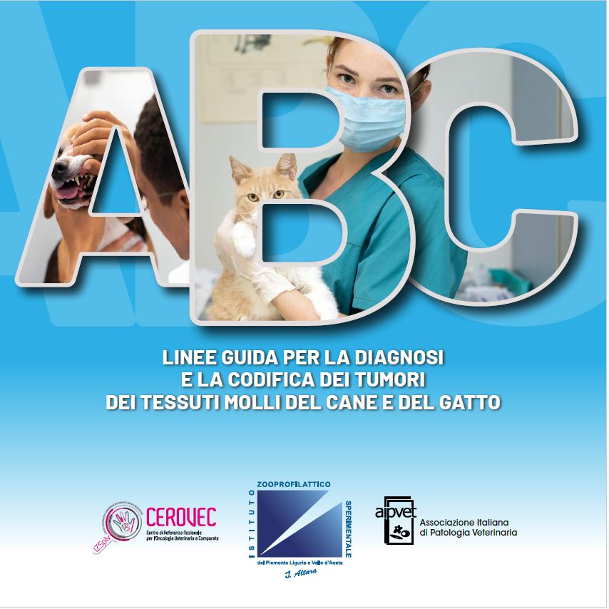 GdL tumori dei tessuti molli